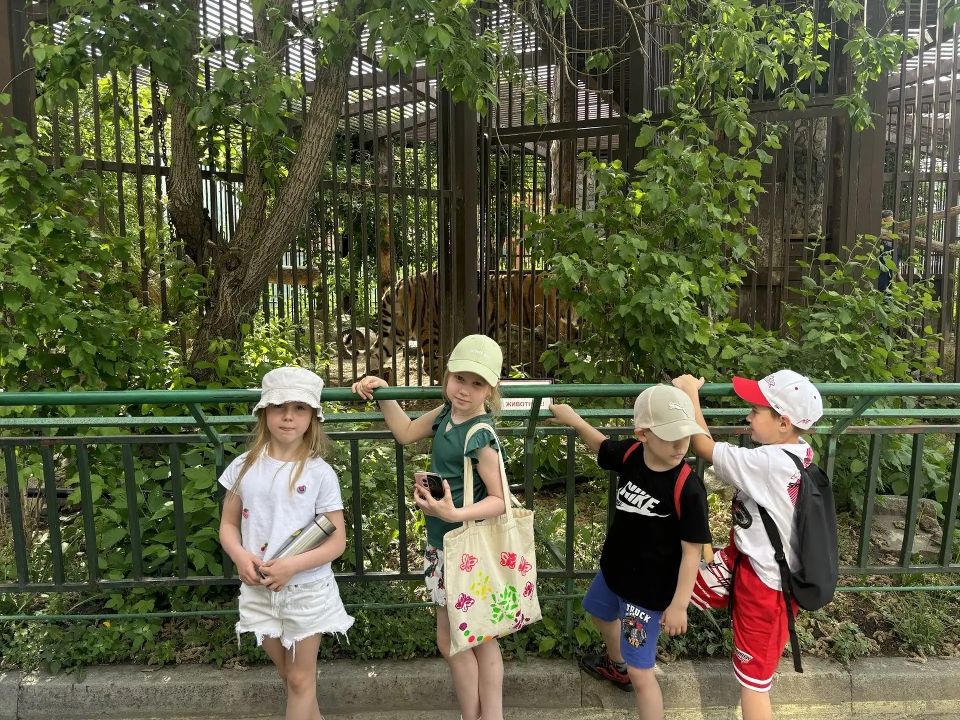 🌳🦁 Майский эко-марафон 1Г: от редких растений до царя зверей! Наши первоклассники из 1 «Г» завершают