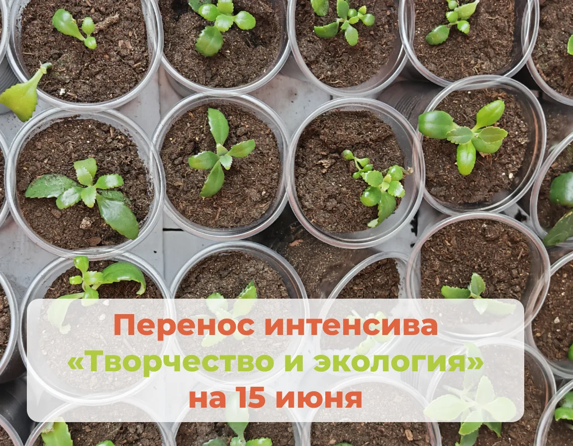 У нас замена❗️