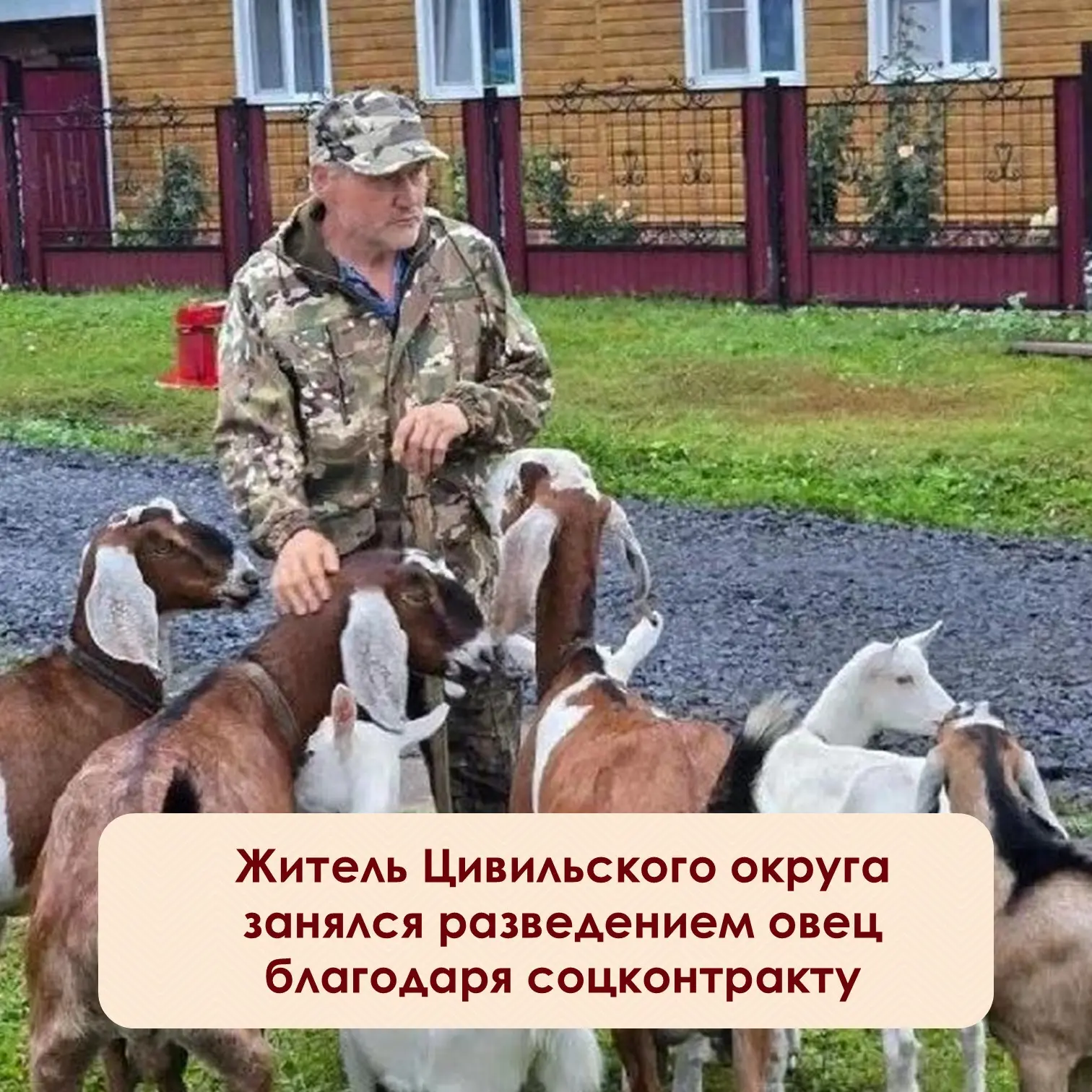 ⚡️Сергей Александров из деревни Первые Тойси давно держит хозяйство, но решил попробова...