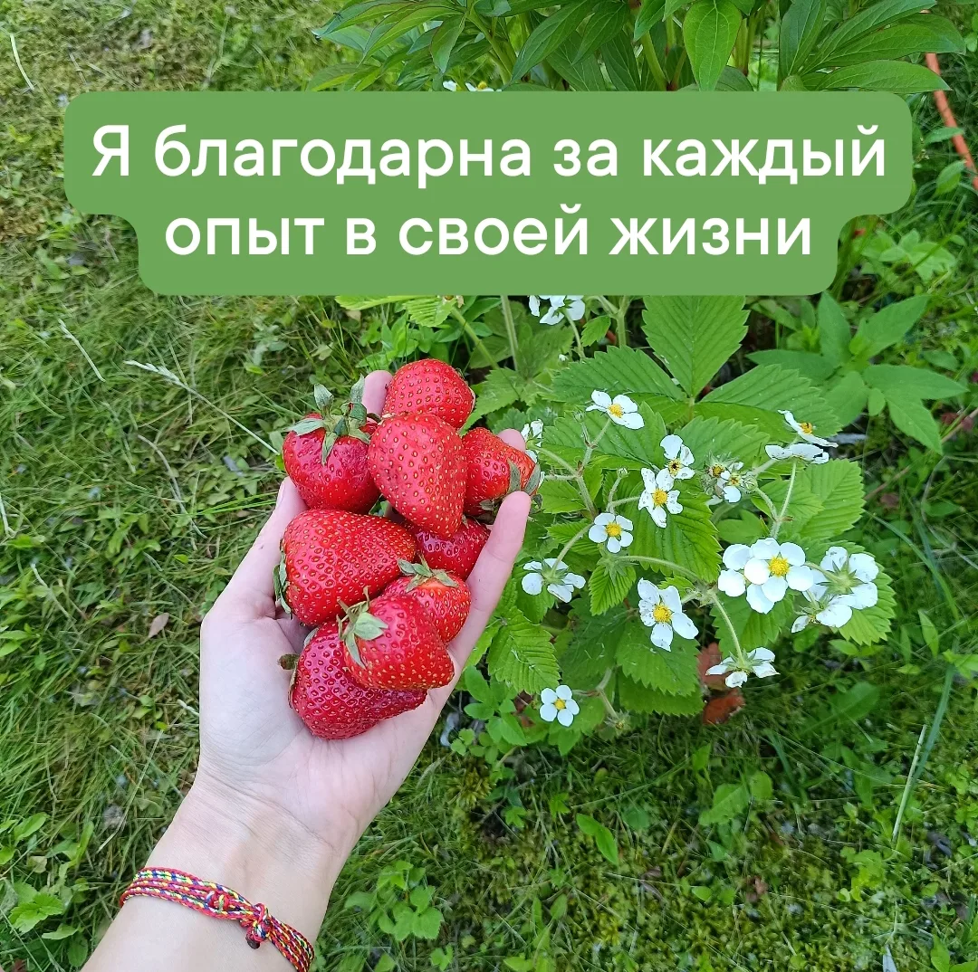 56. Аффирмация дня