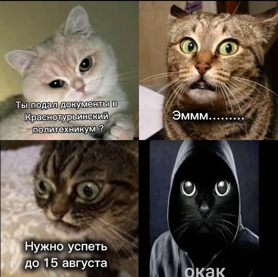 Ты ученик выпускного класса и думаешь, куда пойти учиться дальше? 
 
Поступай в Краснотурьинский пол