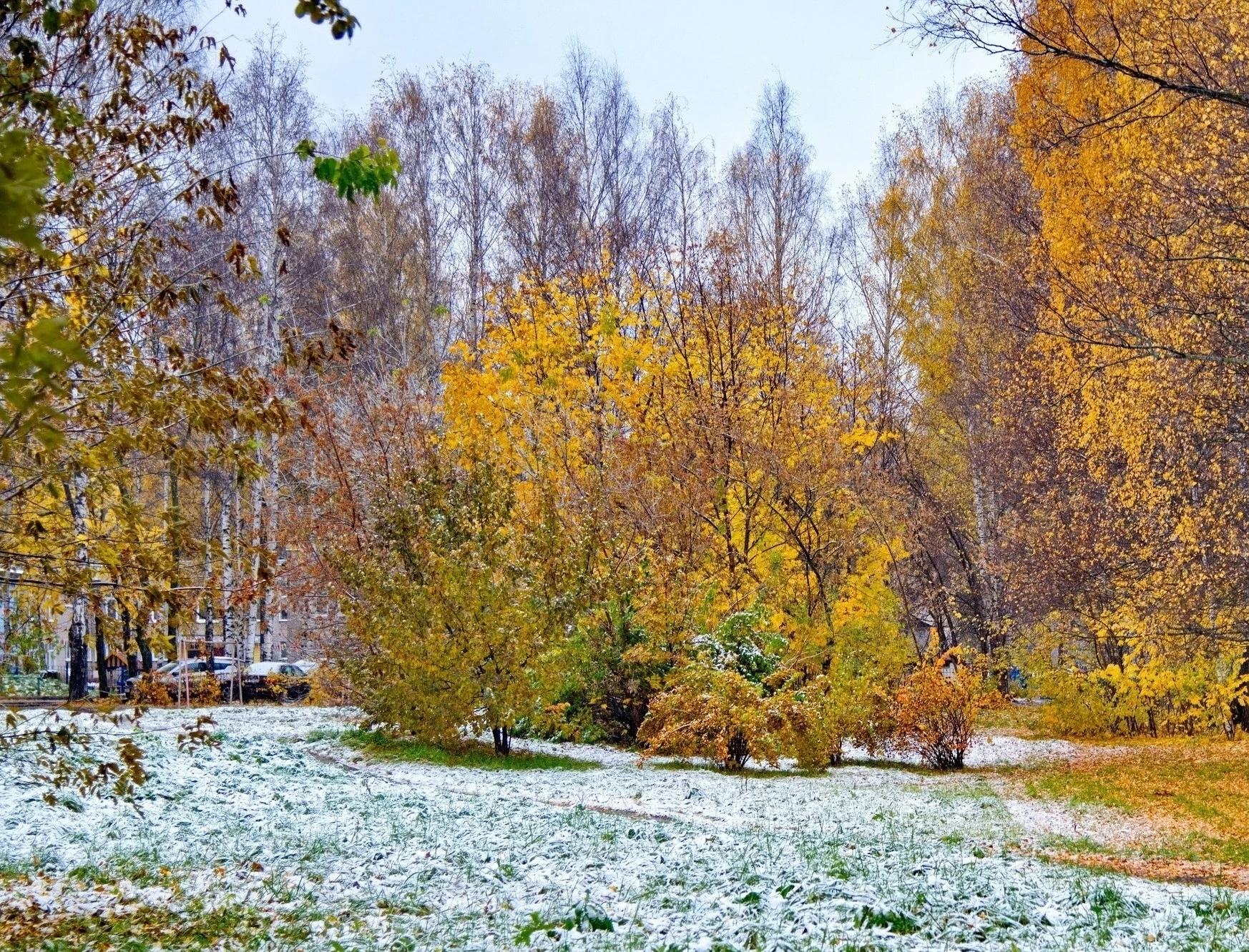 Первый снег в Волжске будет уже в ближайшие дни 🌨️