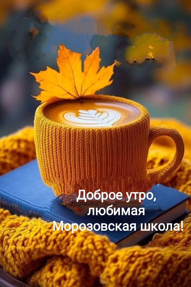 🔆 С добрым утром, уважаемые подписчики и гости канала МБОУ МОРОЗОВСКАЯ ООШ!