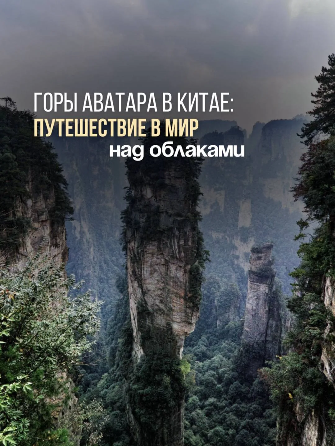 Горы Аватара в Китае: путешествие в мир над облаками⛰️