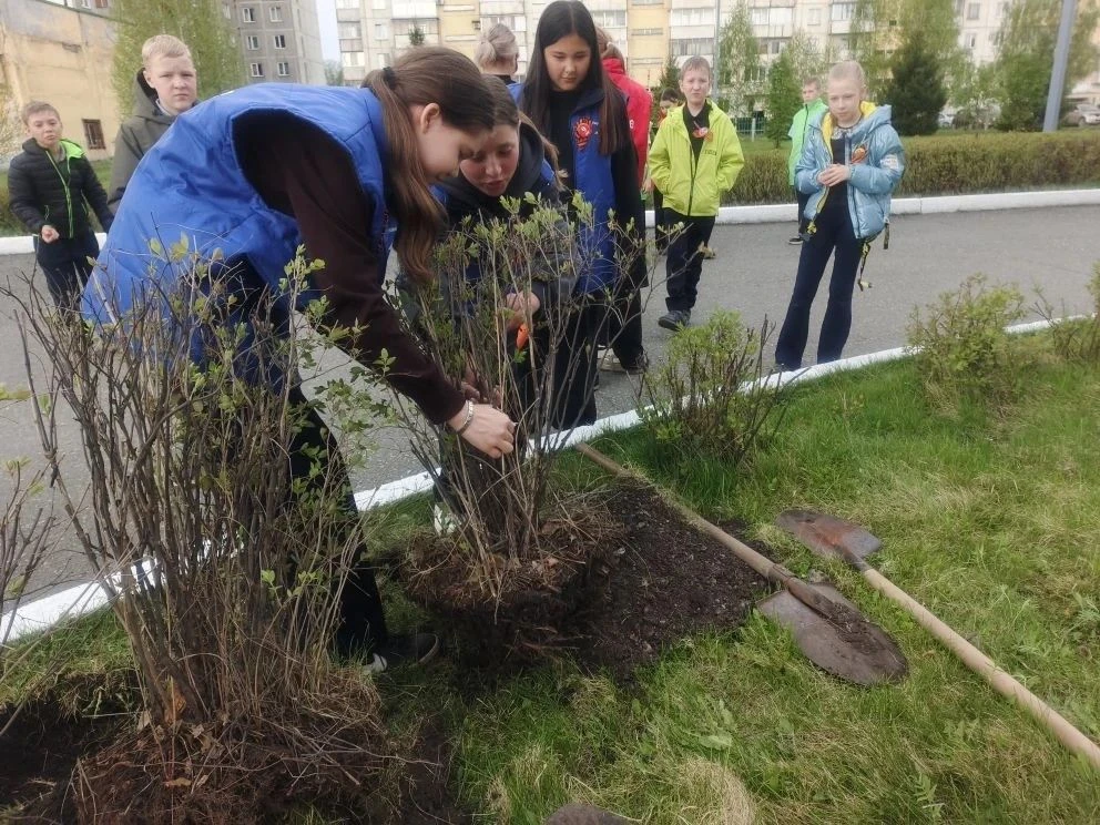 🌿 «Сад Памяти» в школе №110: живые ростки благодарности 🌳Ученики 5-х классов присоединились к всерос