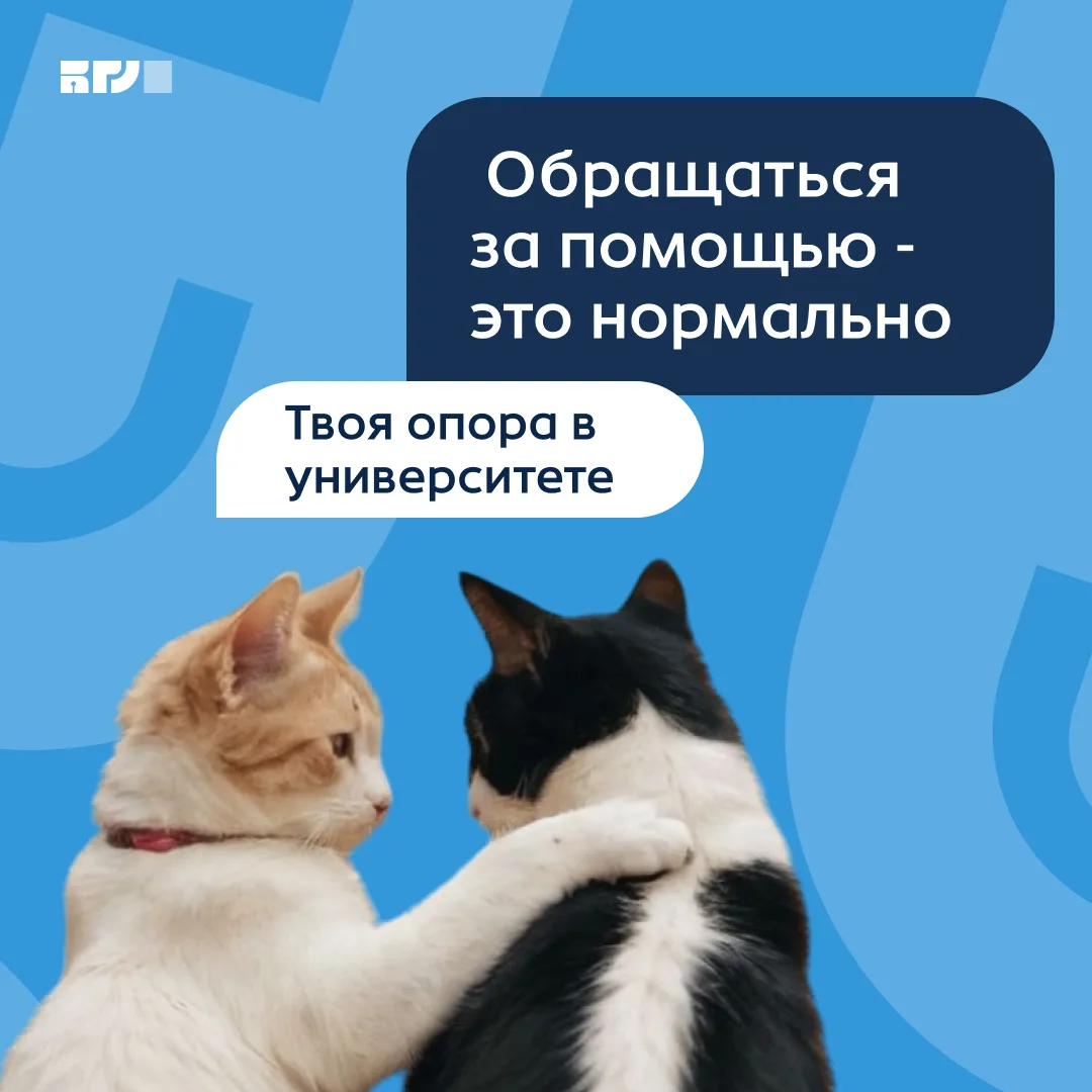 Твоя опора в университете: Психологическая служба БГУ
