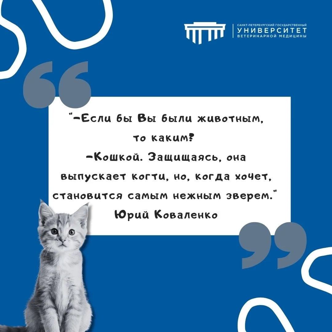 #фразадня #СПбГУВМ