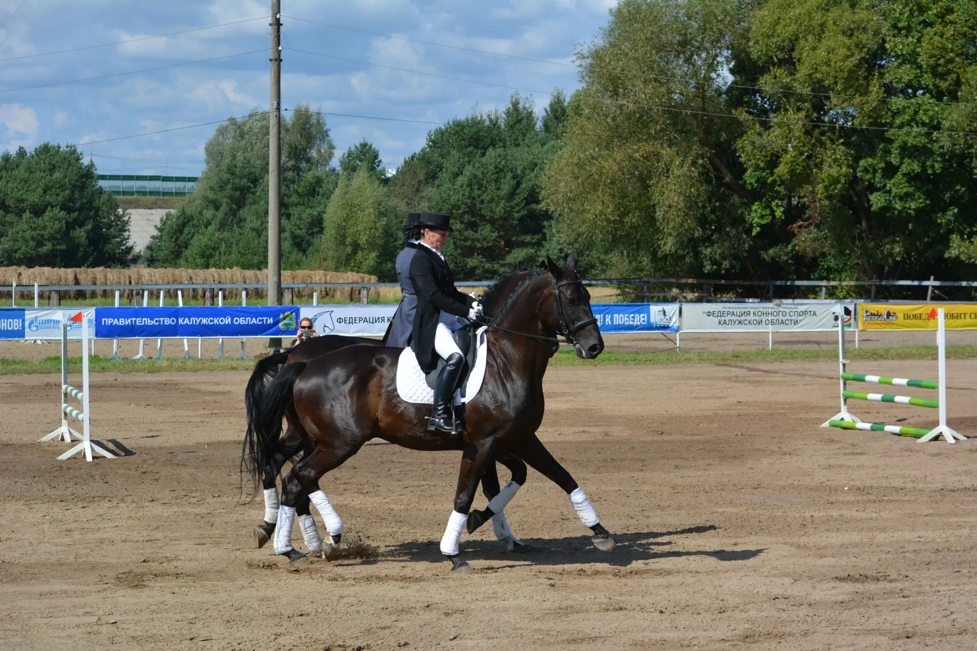 ✨🐴 **Вот и прошёл наш праздник!** 🐴✨