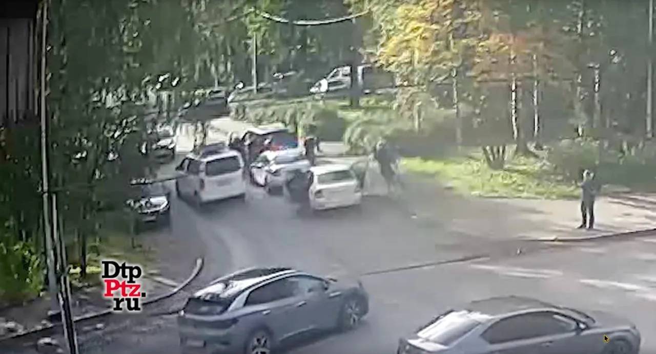 🚨Остановили проверить документы и уложили на землю: в Петрозаводске задержали водителя...