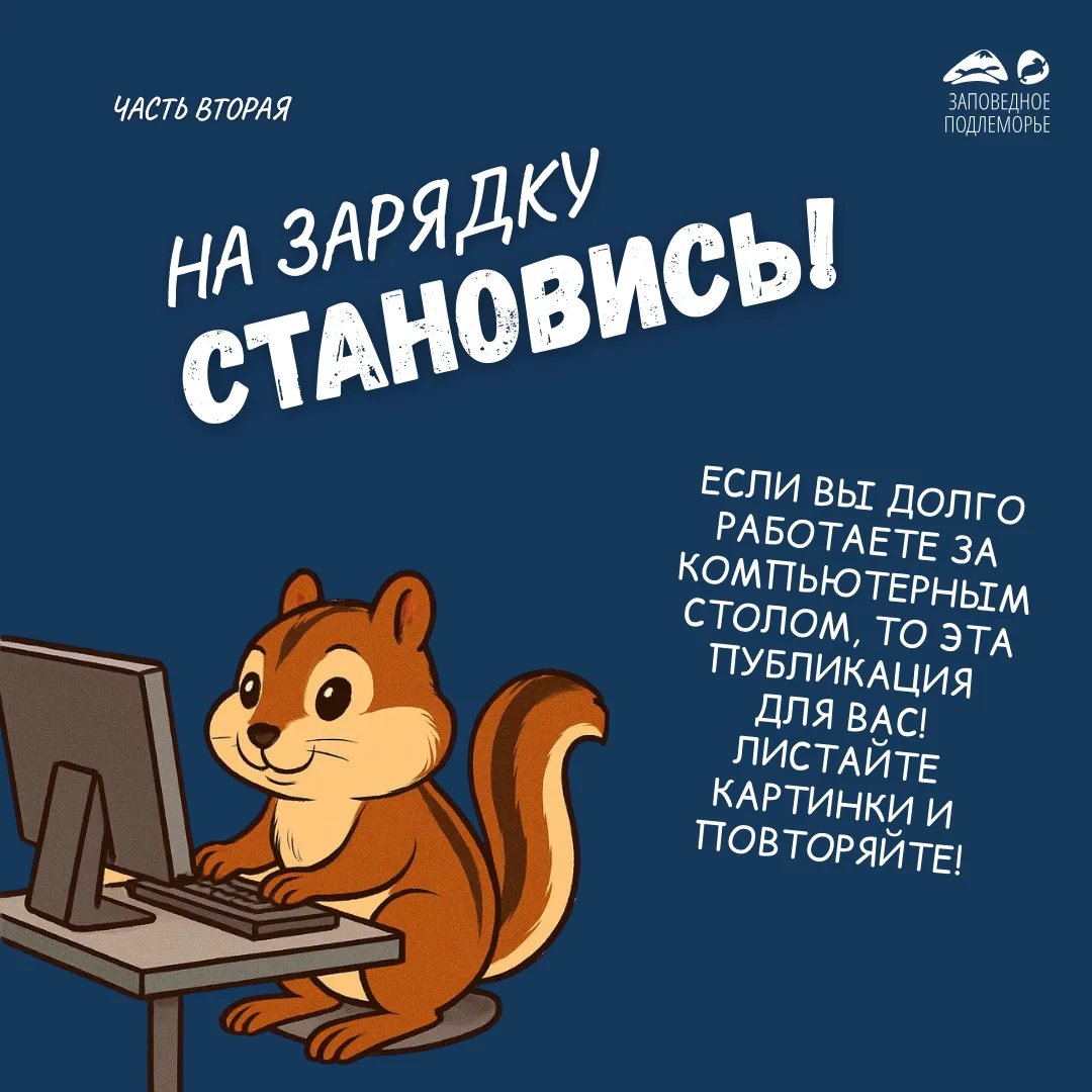 Друзья, если вы засиделись за компьютером, то самое время встать и размяться.

Инструкция к физминут