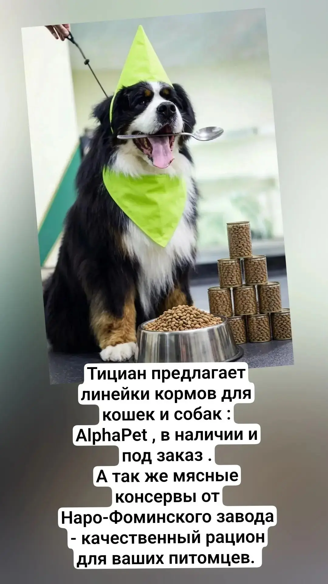 Напоминаем у нас можно приобрести корм ❤🐶🐱