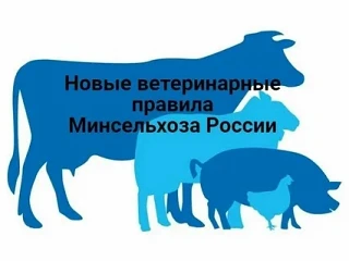 Минсельхоз России утвердил ветеринарные правила назначения и проведения ветеринарно-сан...
