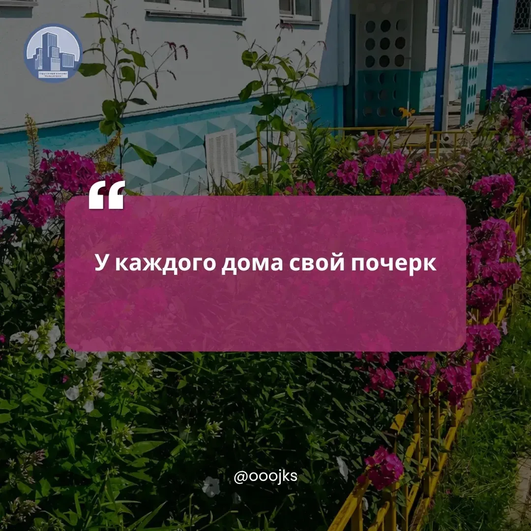🌸 Август цветёт во дворах