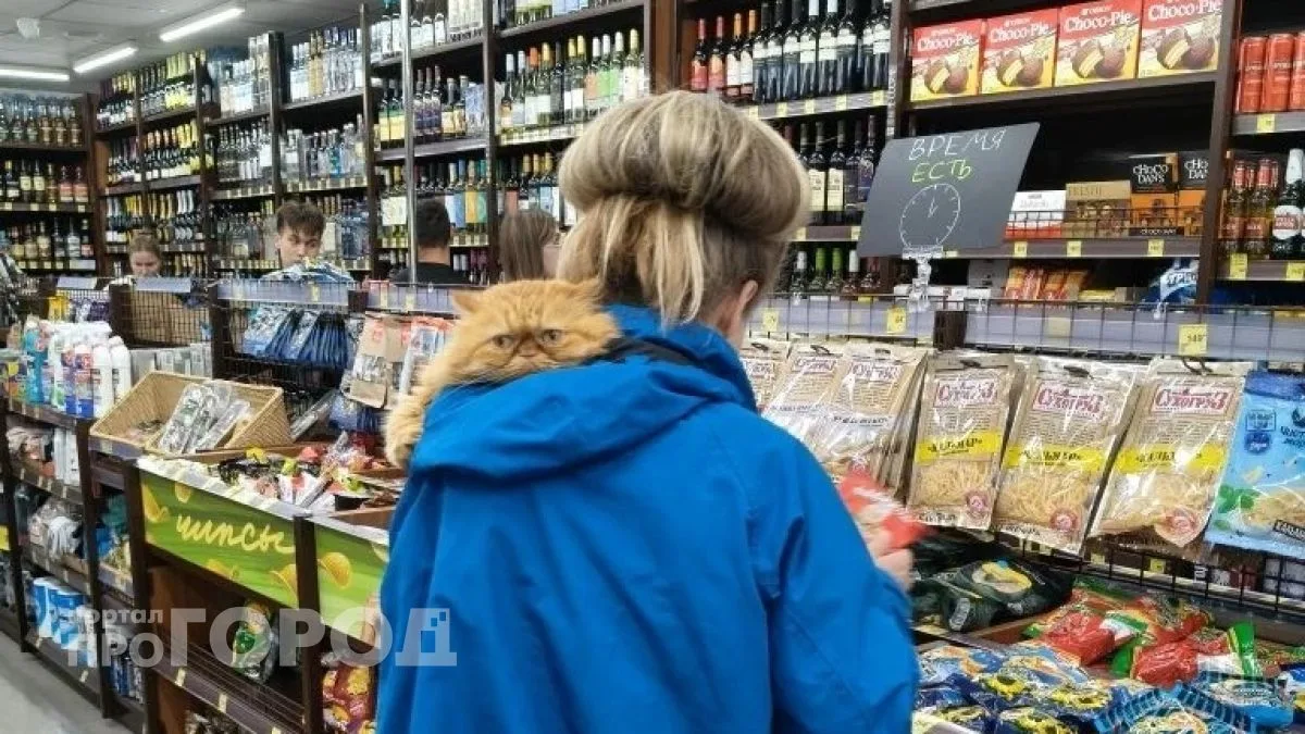 В Новочебоксарске решили ограничить продажу алкоголя из-за празднования Дня республики....