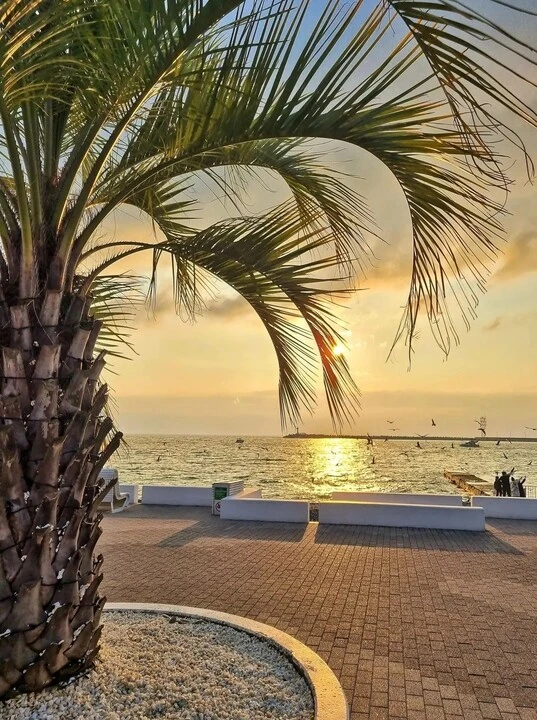 Лайфхак для тех, кто собирается в Сочи! 🌴(канал "Сочи плюс") 🌴  Друзья, серьезно: отдавать по 10-15 