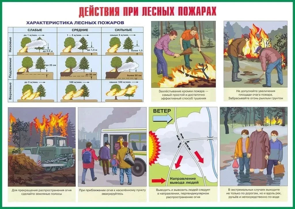Памятка: правила безопасности в лесу летом