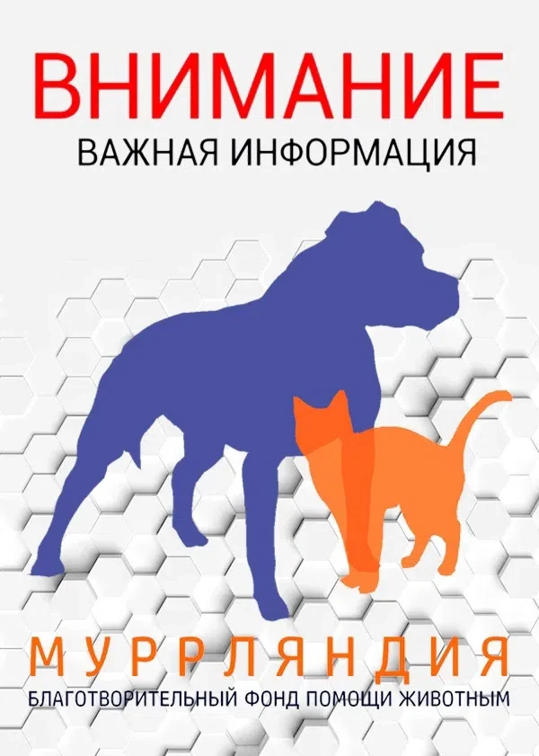 🙏Дорогие друзья!🙏