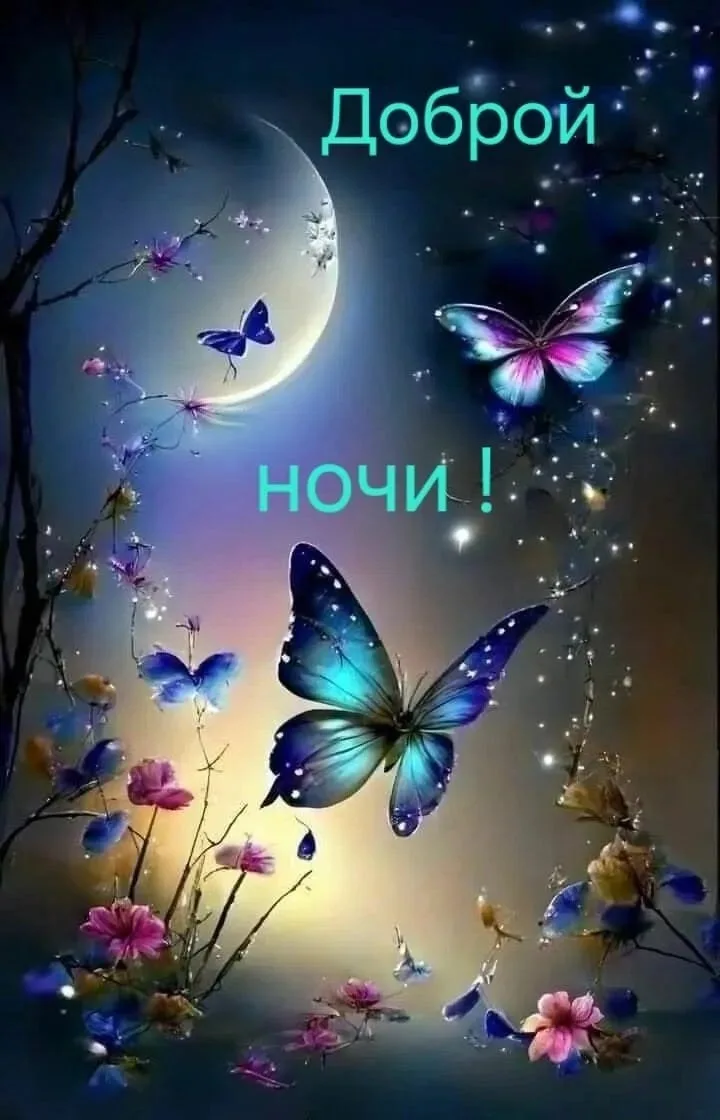 Доброй ночи! Чудесных сновидений! До завтра! ✨🌙