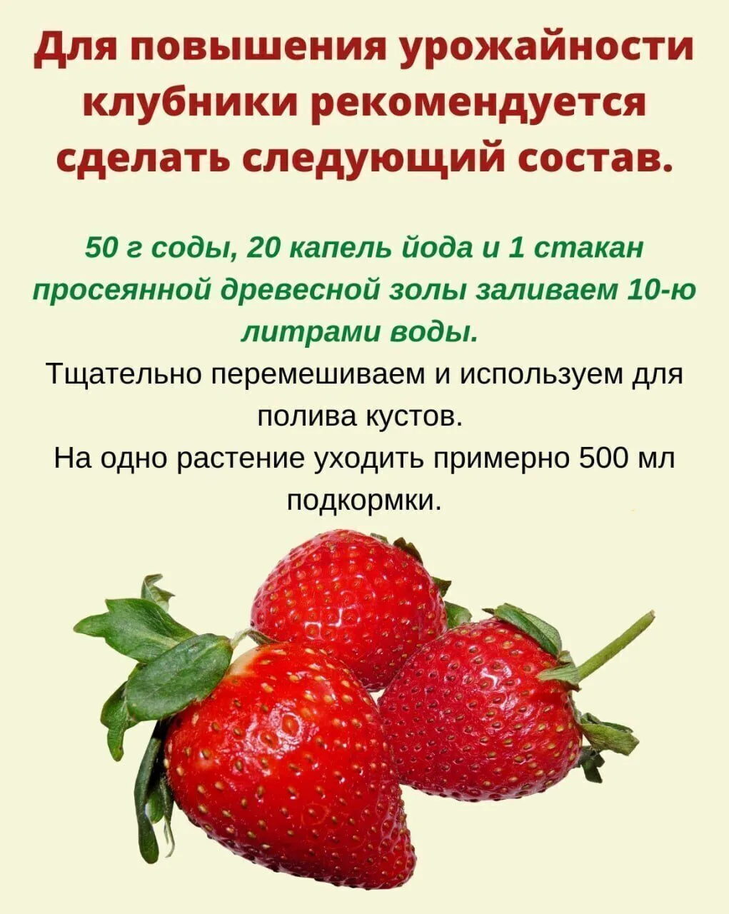 Дайте клубнике соду и урожай будете собирать ведрами.