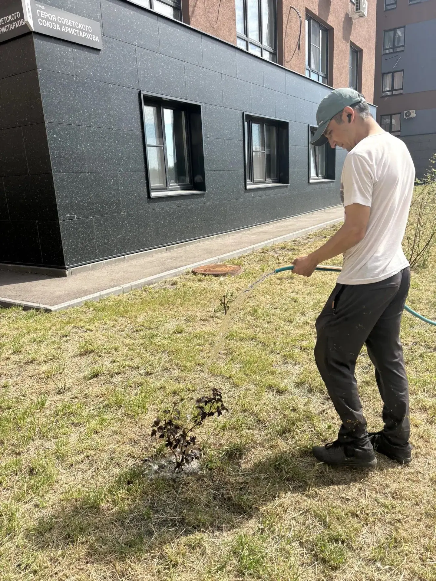 🌿В теплую летнюю погоду регулярно производим полив в утренние часы клумб, вазонов с цв...