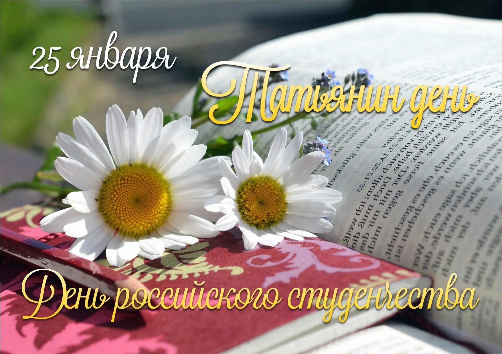 25 января – День Студента и Татьянин день! Праздник для всех, кто верит в чудеса! ✨ Знаете, что обще