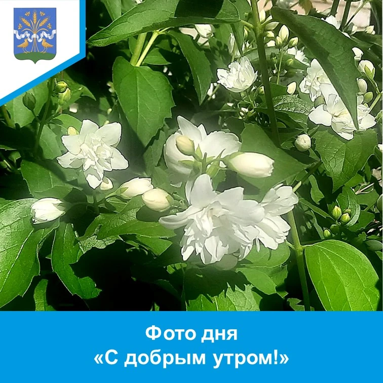 🤗 Дорогие друзья!