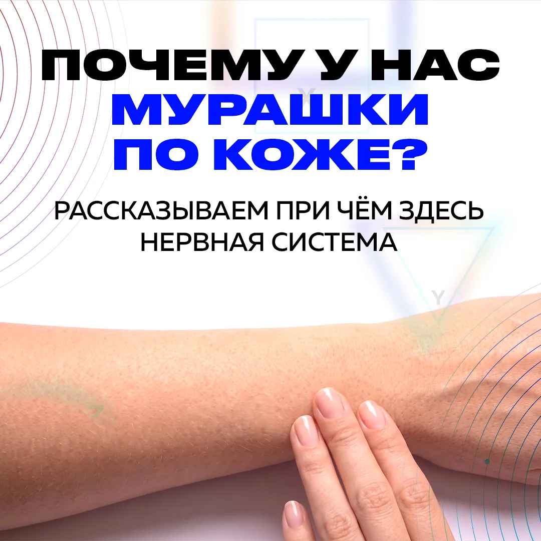 Почему у нас «мурашки» по коже и при чём здесь нервная система? 🥶🐜