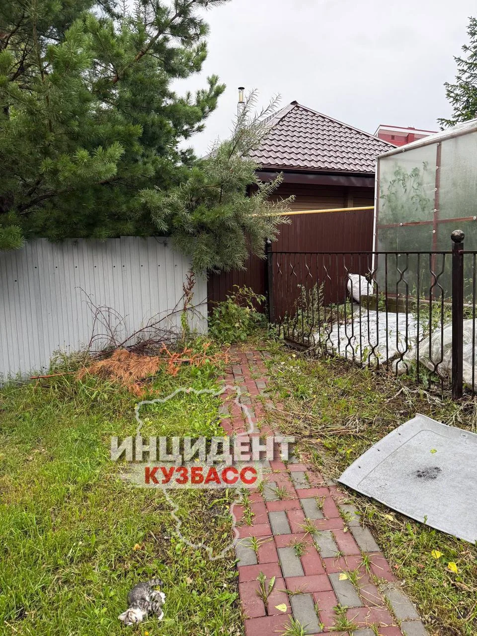 В Кемерове мужчина насмерть забил котёнка на Лесной Поляне.

О жестоком обращении с животным рассказ
