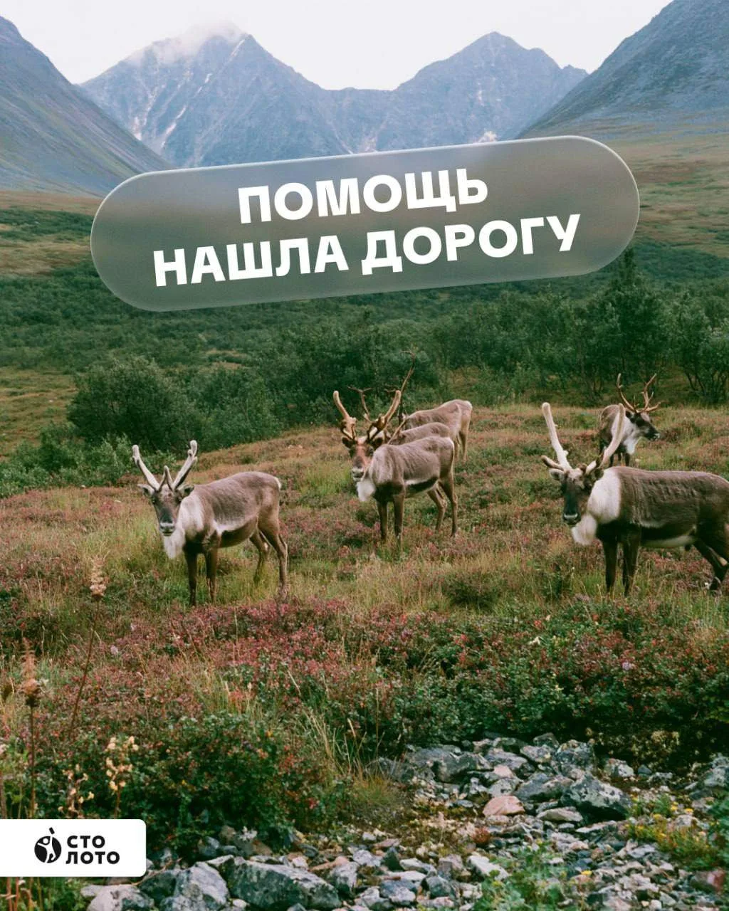 Иногда помощь нужно доставить туда, куда не ведут дороги.