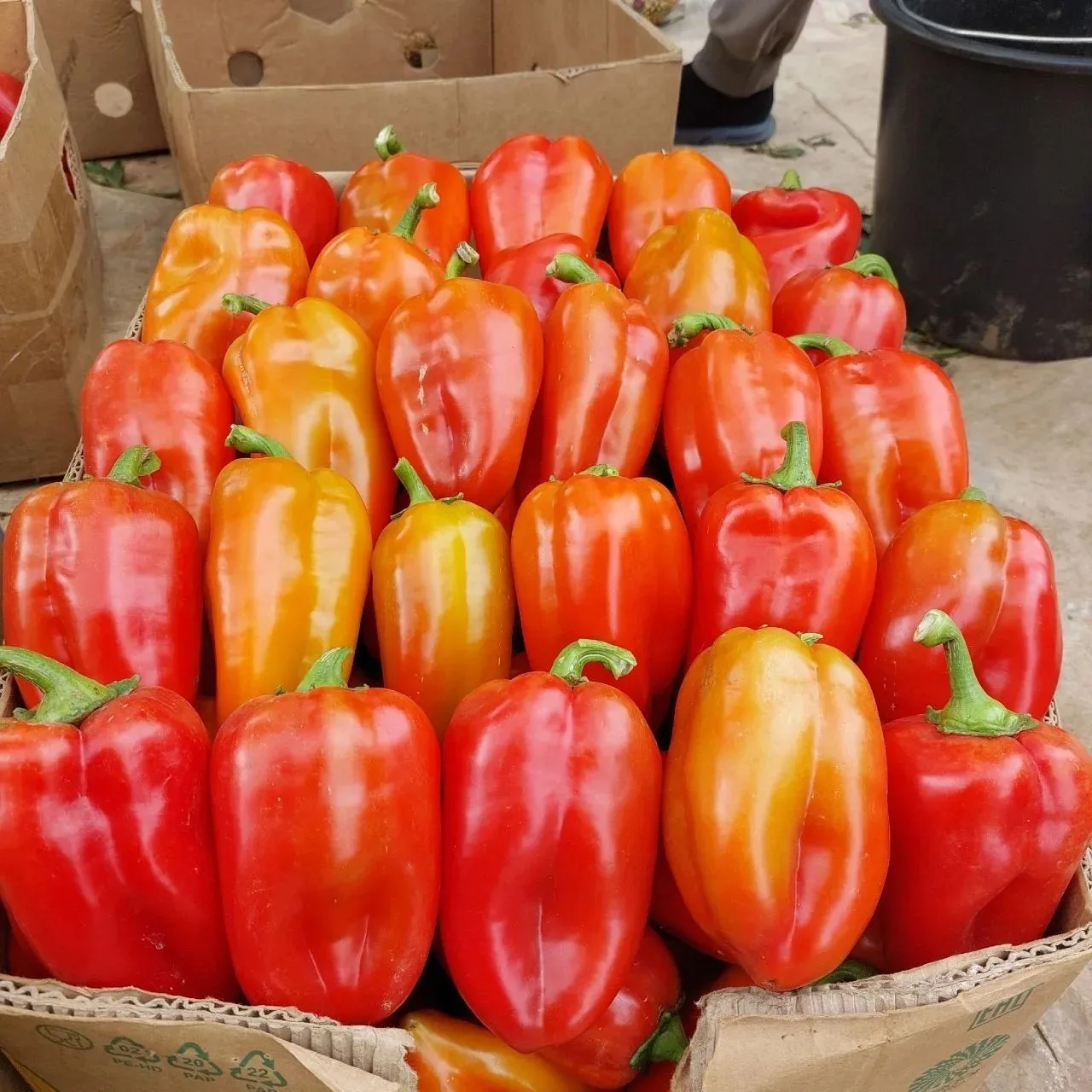 🍅🍓🥒 Все кто торгует овощами, фруктами, рассадой, птицой. А также для тех кто ищет то...