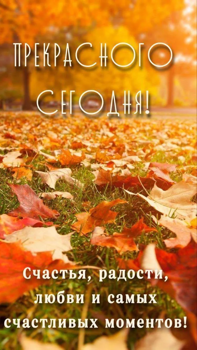 Женские открытки💝