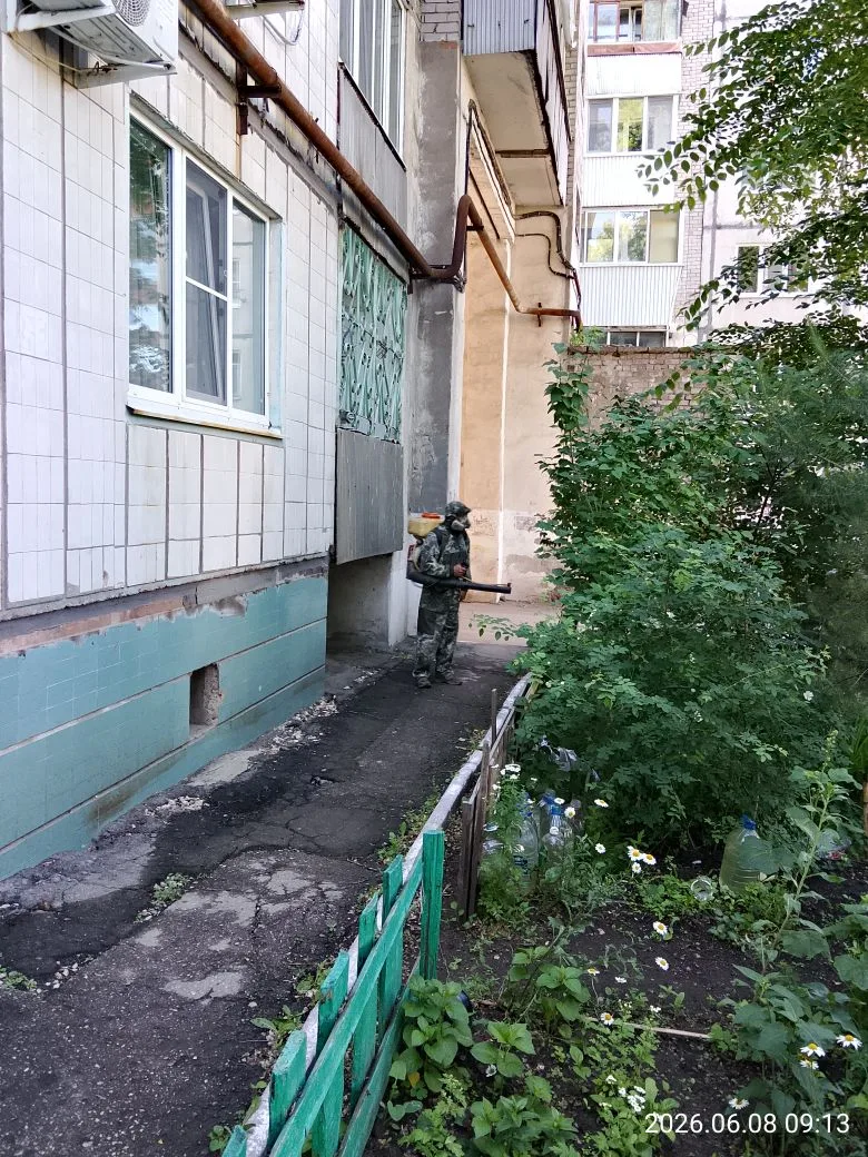 Произведена дезинсекция подвальных помещений и территории по адресам: ул. Хасановская д. 26, 28, 30 