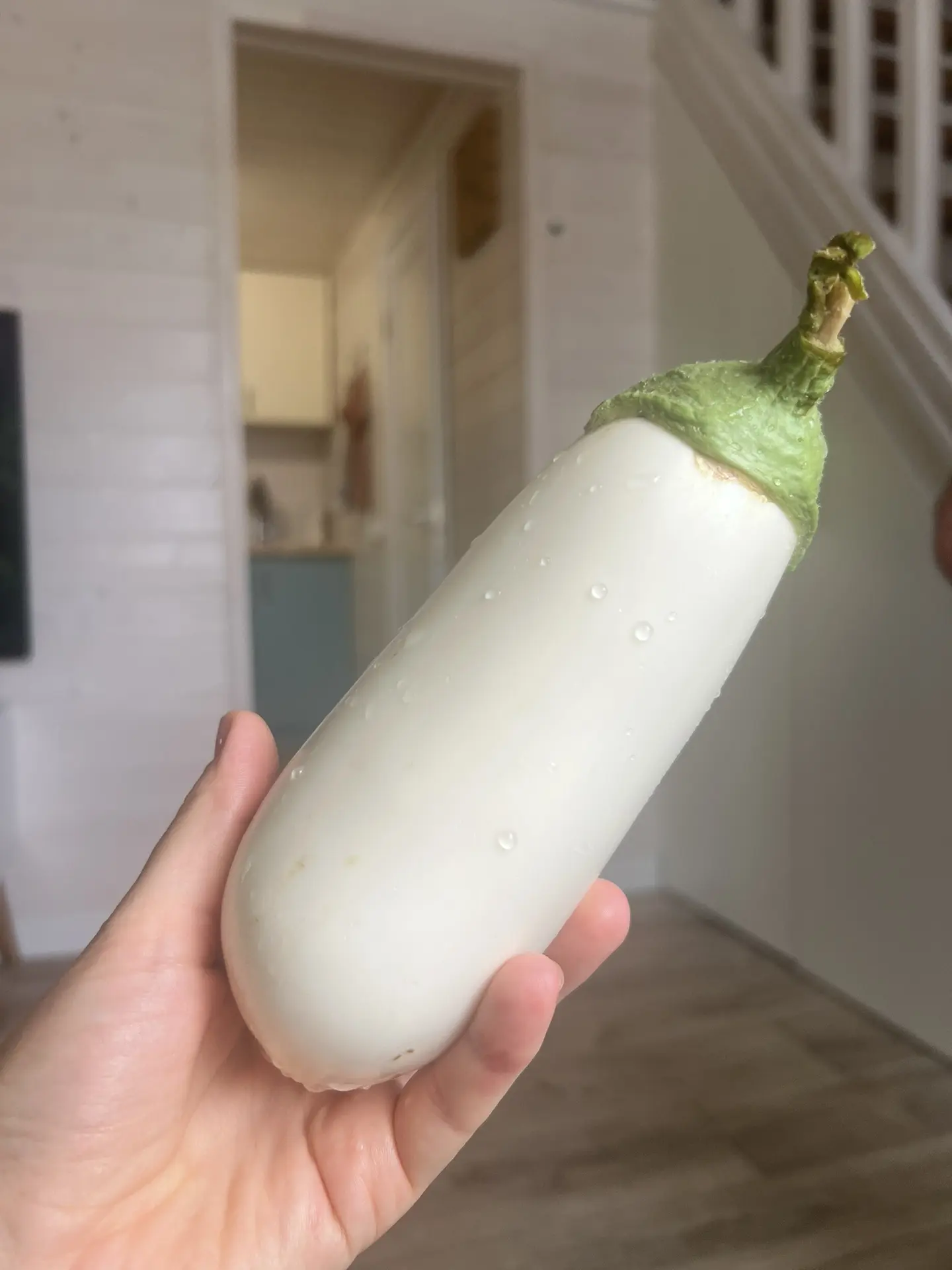 Задумывались, почему американцы называют баклажан EGGPLANT?