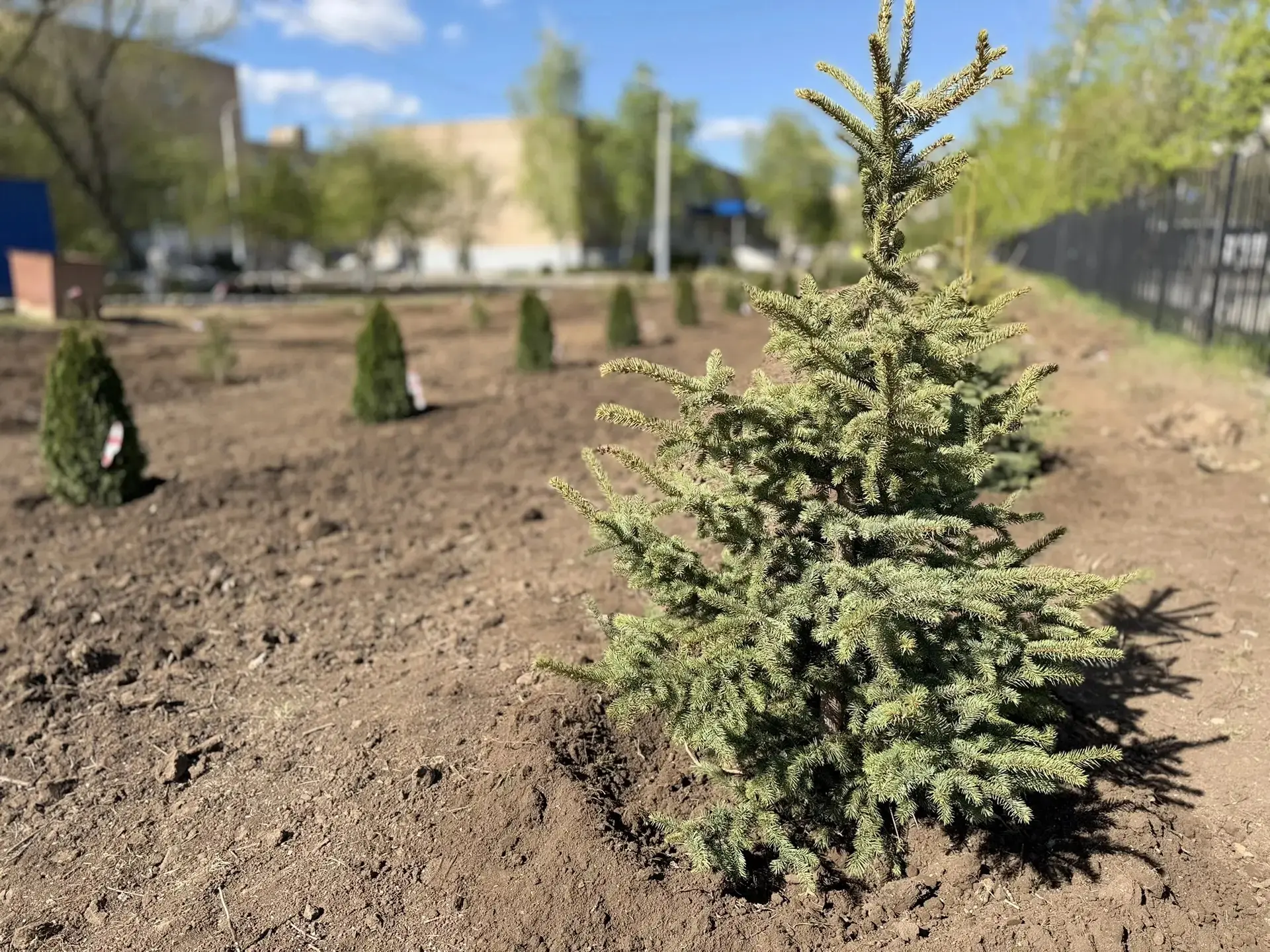 Мир! Труд! Май! С праздником весны и созидания! 🕊🌿  Дорогие коллеги, учащиеся и родители! Поздравляе