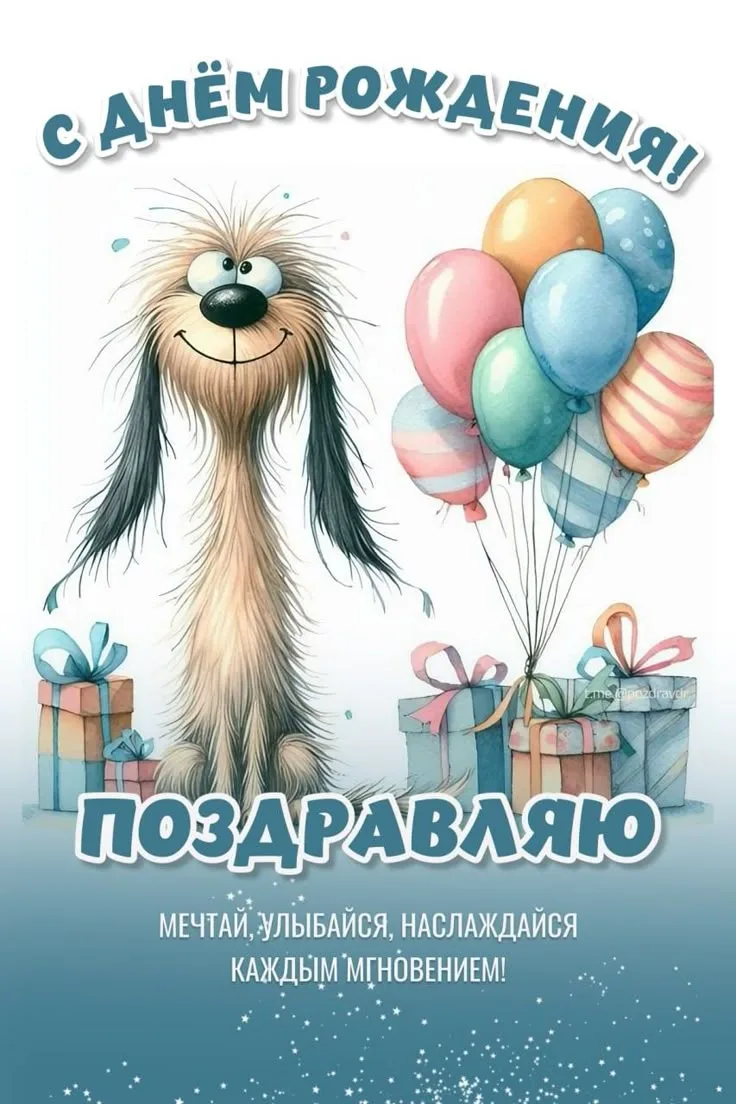 https://max.ru/invista123456