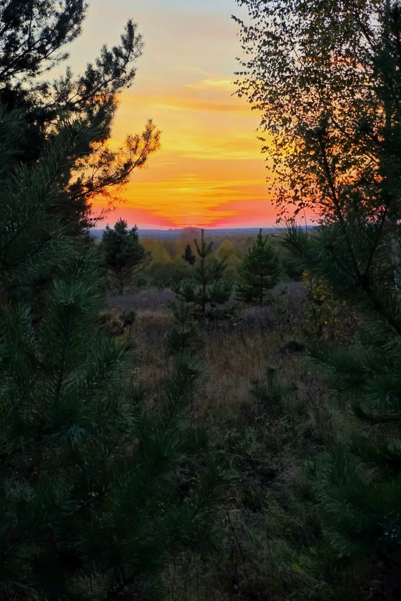 Сказочная осень😍