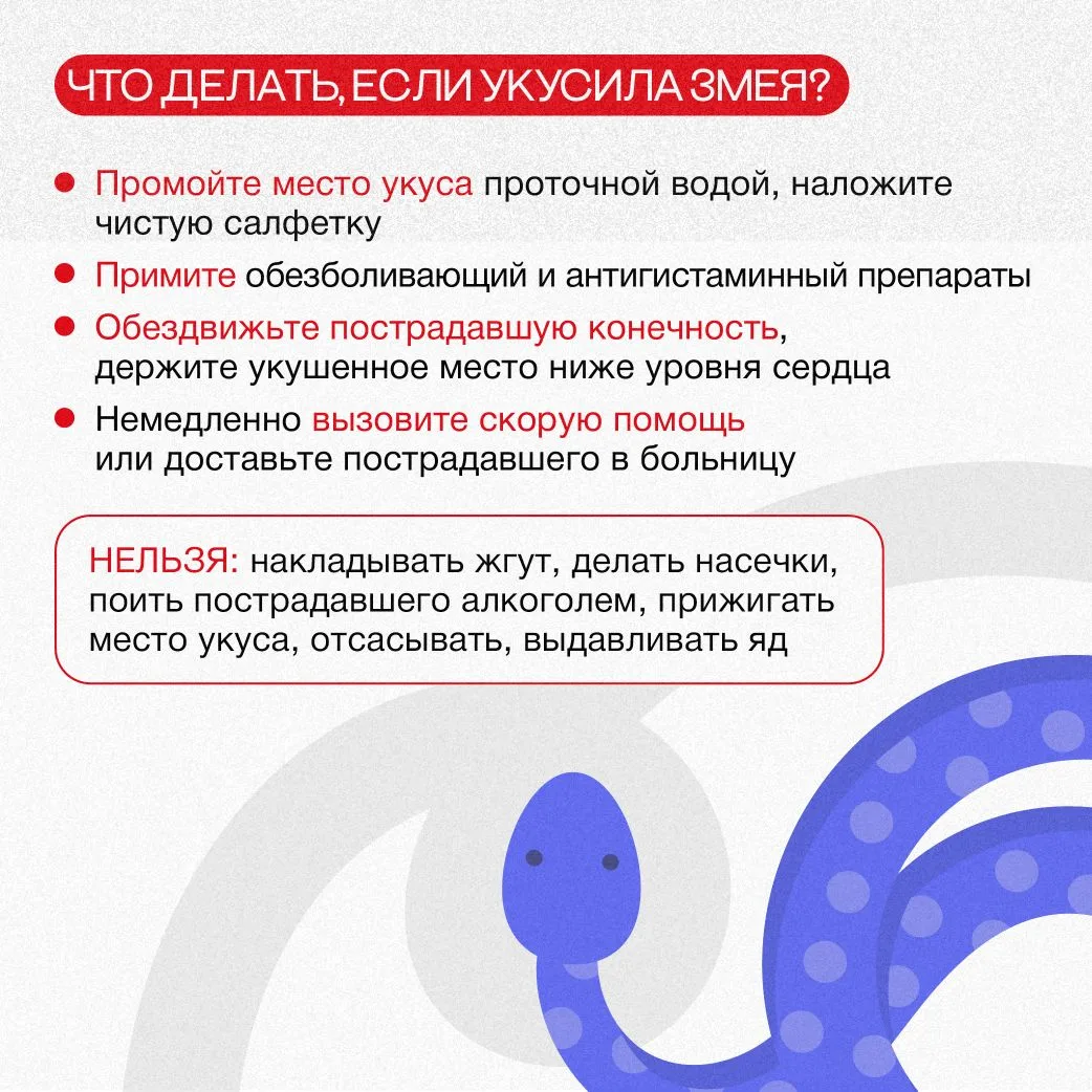 🐍 Первые пострадавшие: змеи укусили троих свердловчан