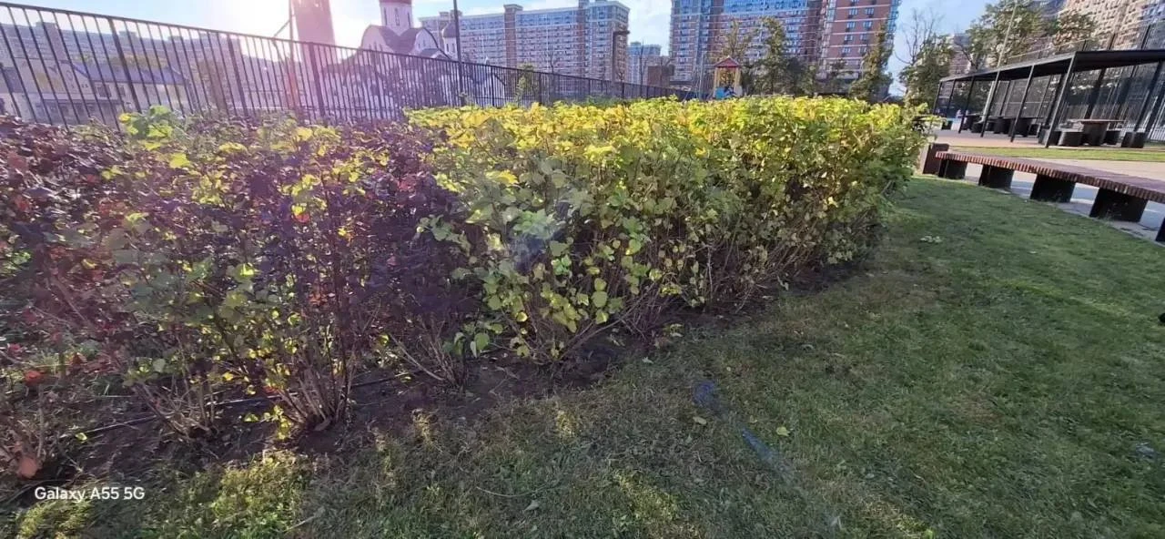На Константина Гондаря, 103 наша УК выполняет работы по озеленению 🍃