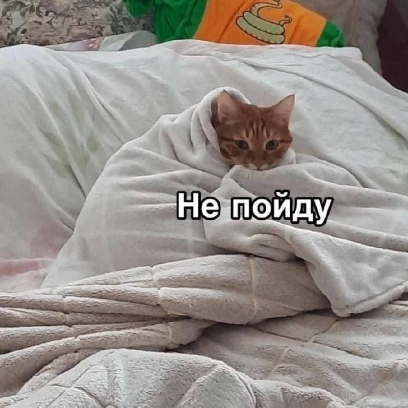 Доброе утро

#мемы #смешно #жизненно