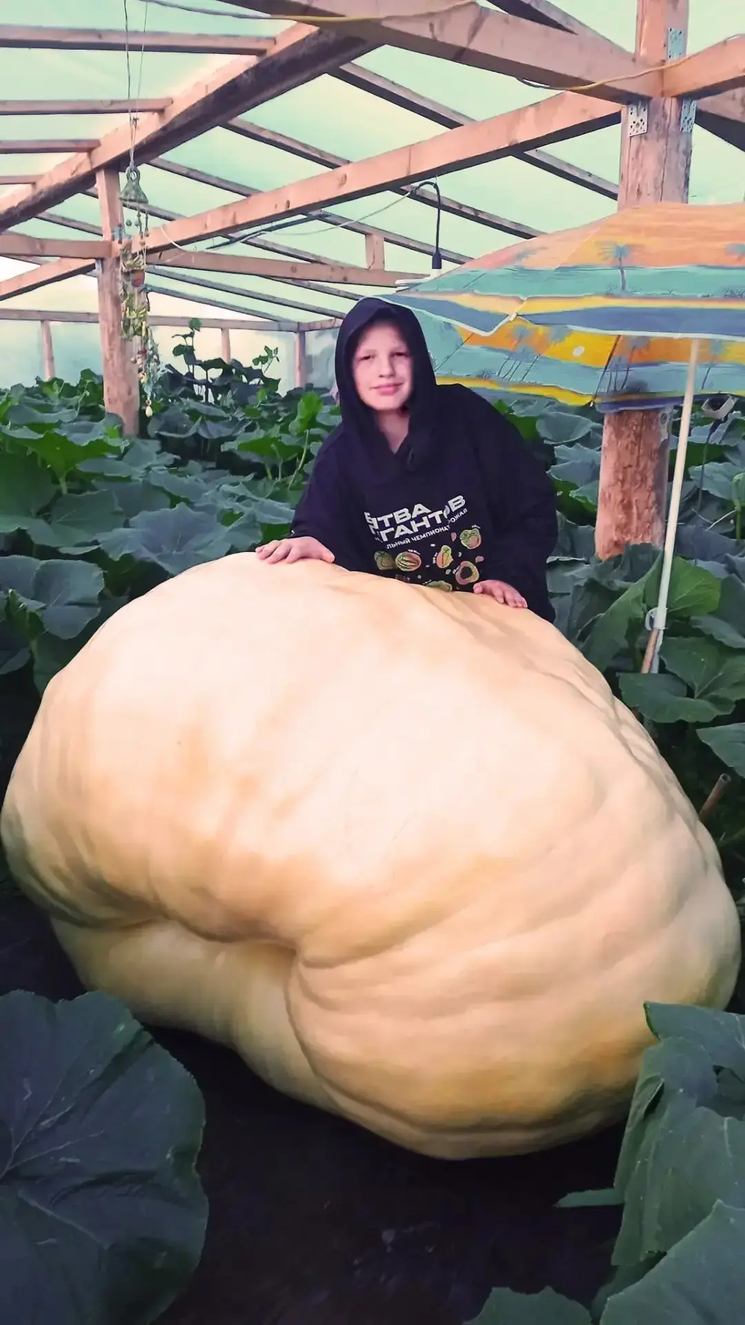 Есть рекорд!