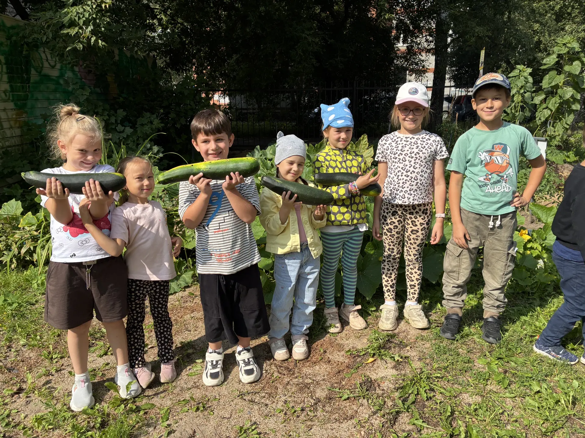 🌱 А у нас в саду — огород! 🌱