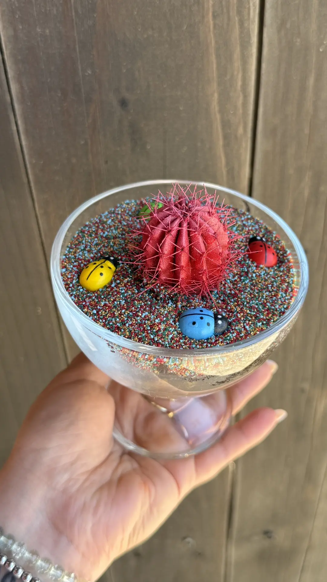 Цветные кактусы в наличии 🌵