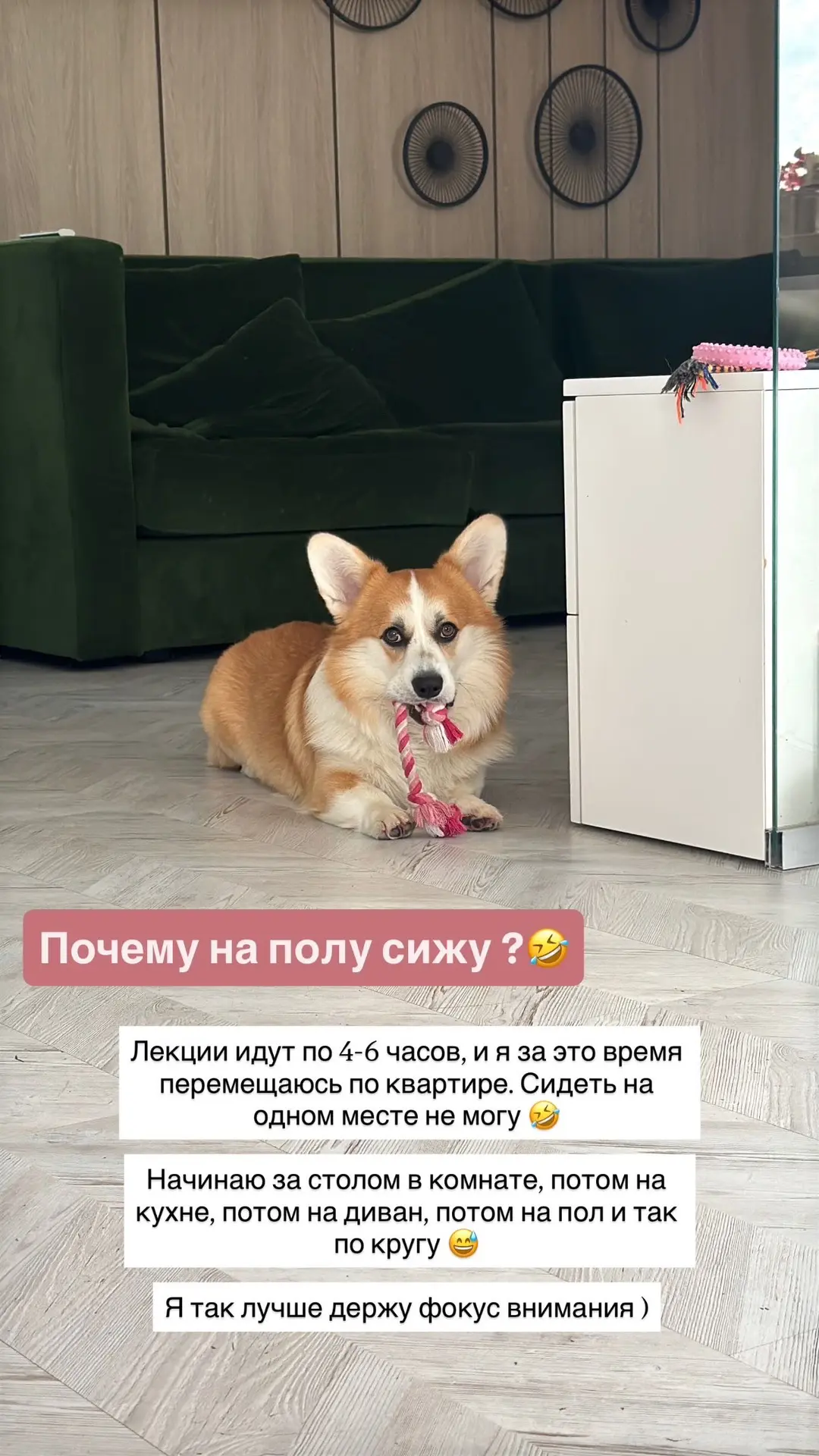 Видео