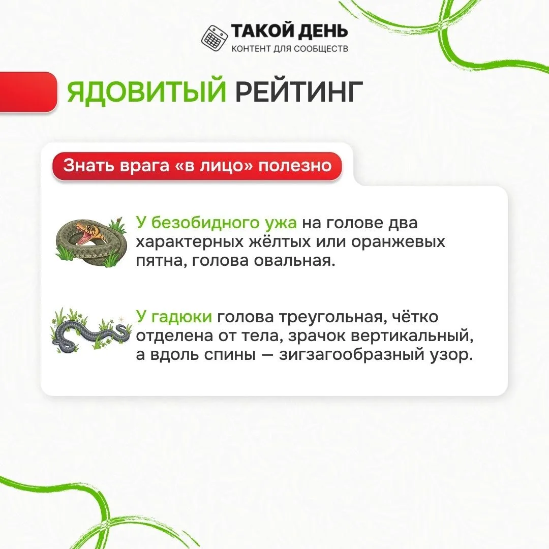 Памятка «Лес без происшествий»