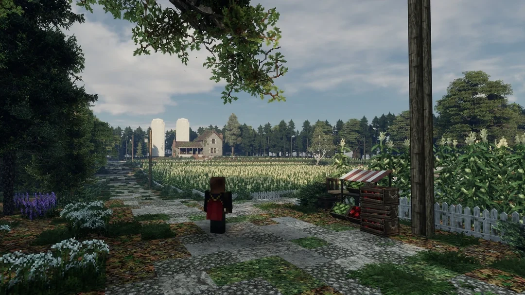 Карта, вдохновлённая игрой The Last of Us!