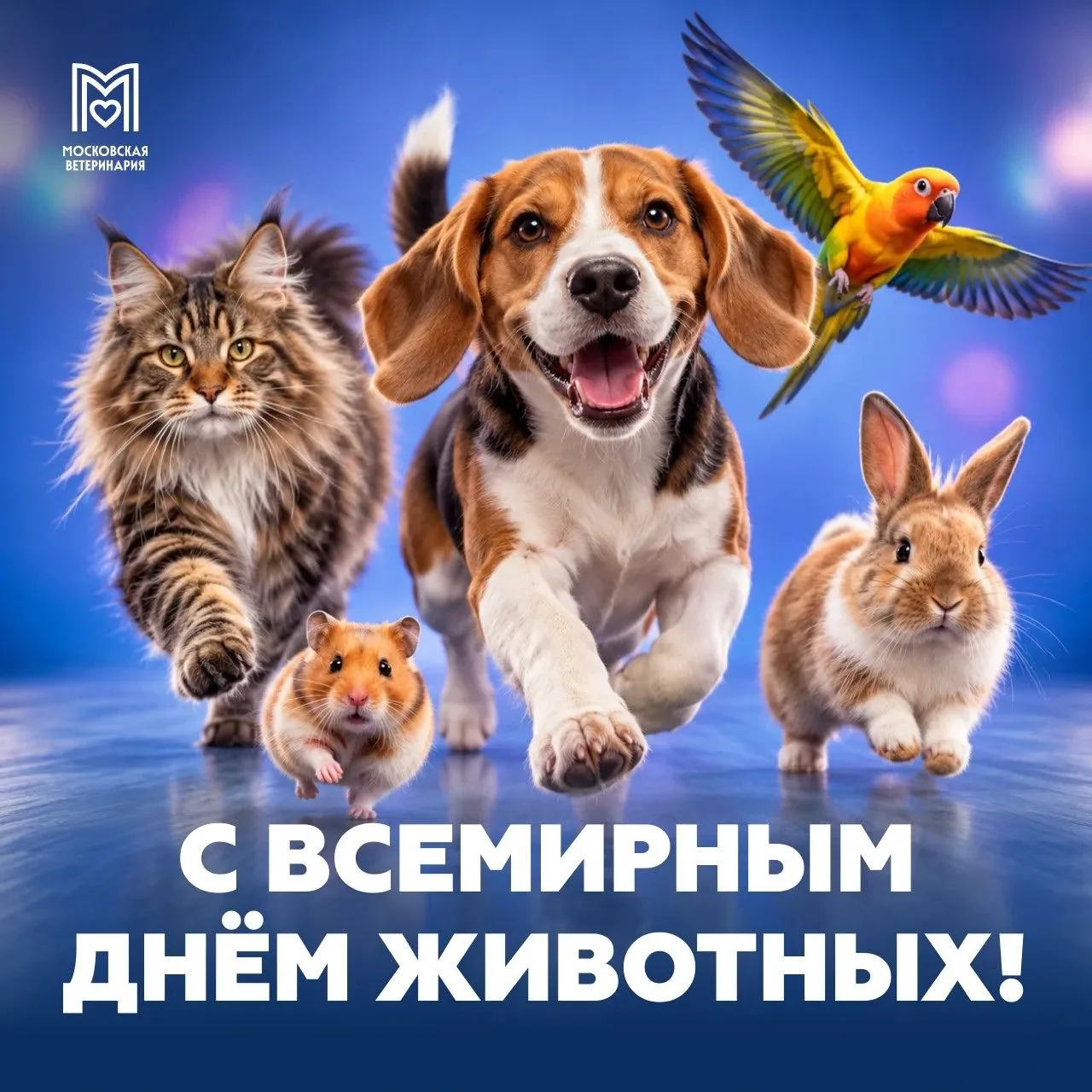 4 октября — Всемирный День животных (World Animal Day)