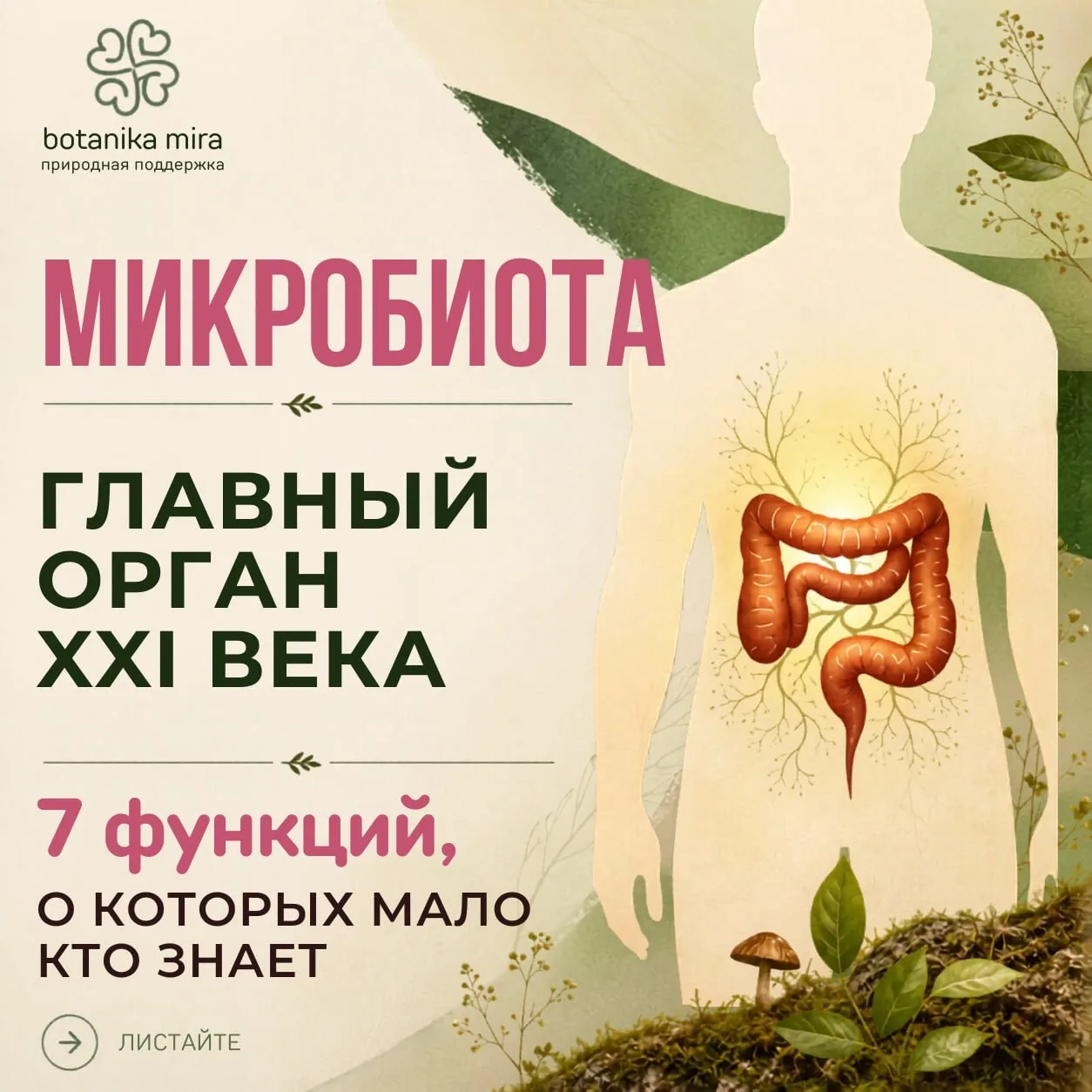 Микробиота — главный орган XXI века. Почему о ней сейчас говорят все