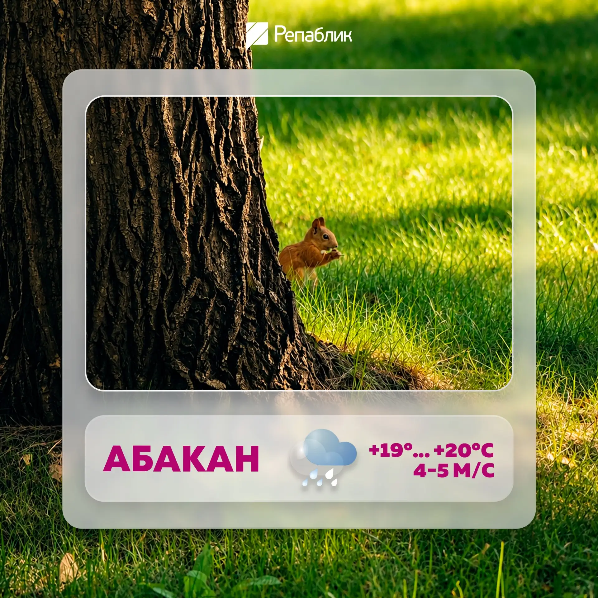 Сегодняшняя погода напоминает, что август всё-таки уходит 🌧️