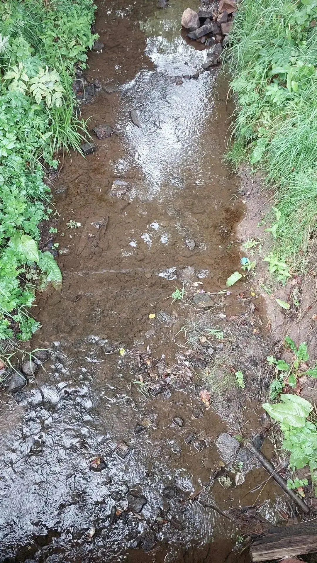 💦Чистая вода начинается с нас!💦                                                      ...