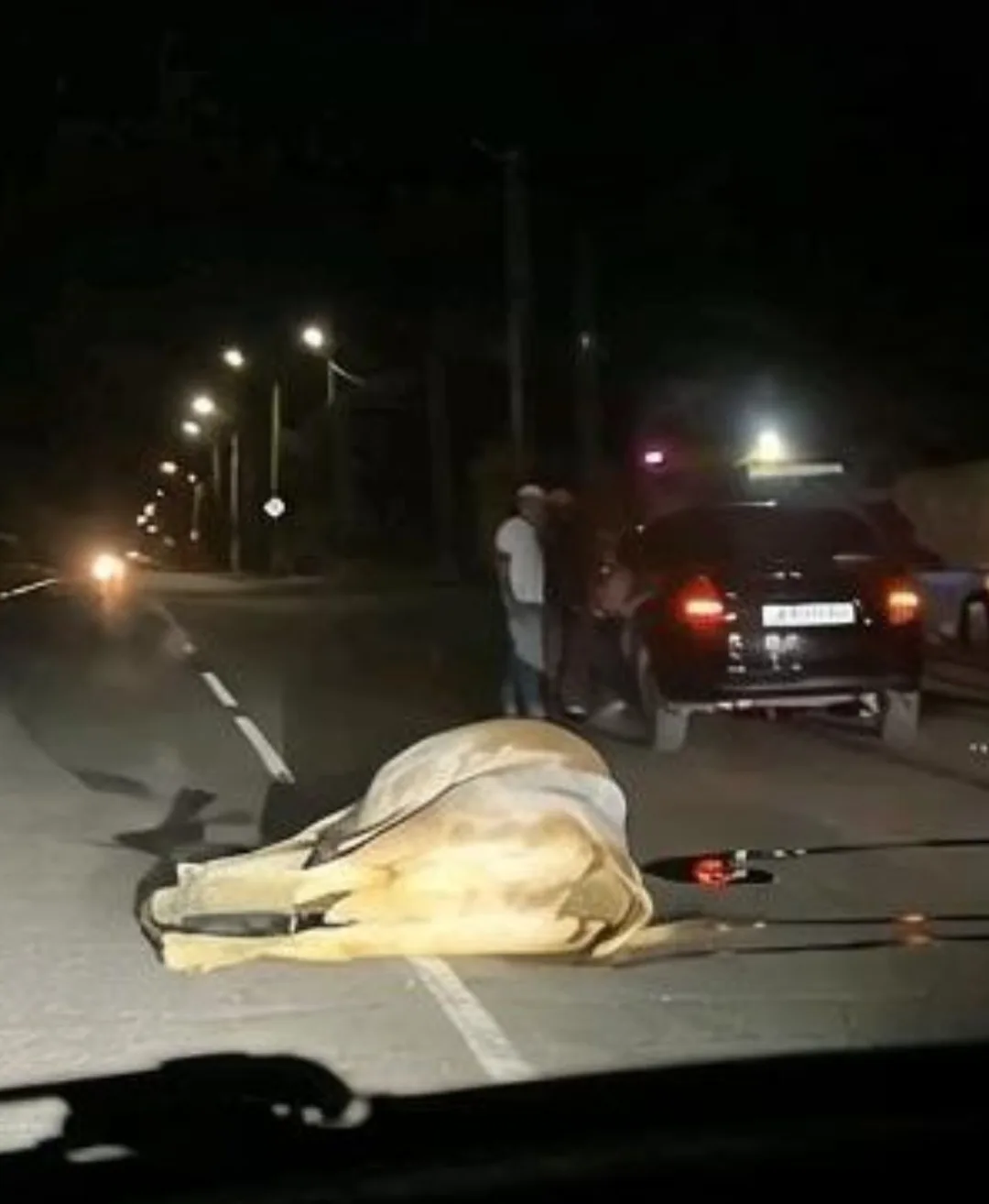 На Вокзальной Лада Гранта сбила корову